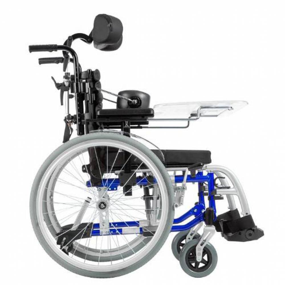 Инвалидная коляска для детей с ДЦП Puma 600