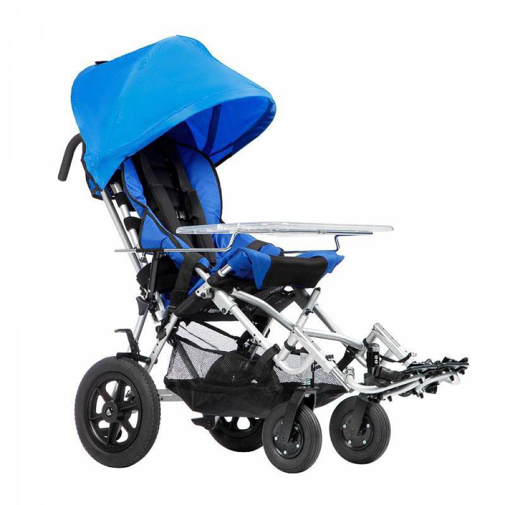 Прогулочная детская инвалидная коляска для детей с ДЦП Lion